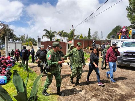 Spr Informa Aseguran Miles De Trozas De Madera De La Tala Ilegal De