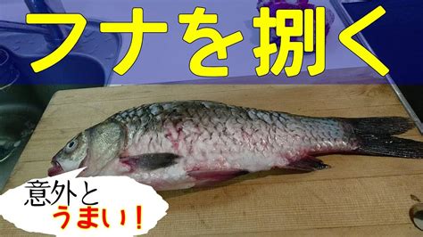 【初心者向け】川魚の捌き方。じっくり解説！料理「揚げ物・塩焼き」 Youtube