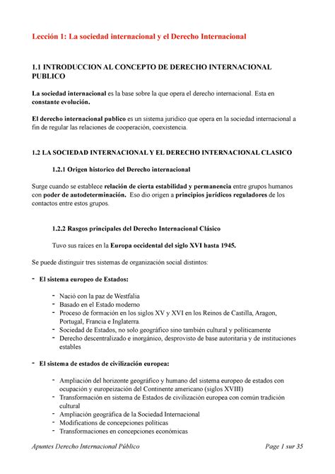 Apuntes Derecho Internacional Publico Lecci N La Sociedad