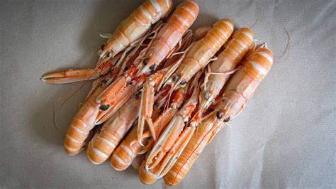 Whole Scottish Langoustine Scottish Shellfish To Your Door