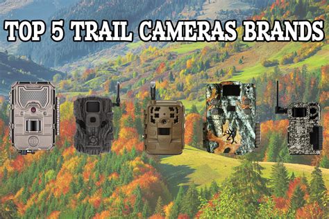 The Top 5 Trail Camera Brands for Hunting | Hunting Magazine