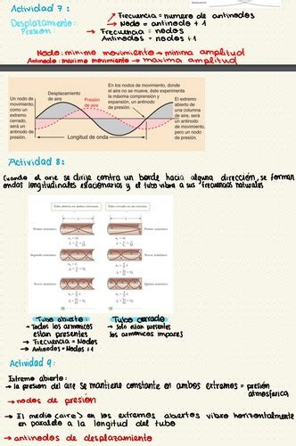 Coraz N Y Ciclo Cardiaco Flashcards Quizlet