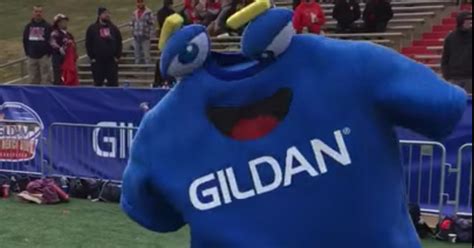 What is the New Mexico Bowl’s mascot? (I don’t know) - SBNation.com