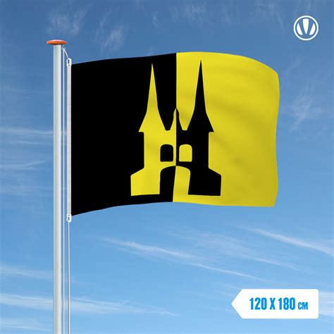 Vlag Sneek Met Waterpoort X Cm Alleen Bij De Vlaggenclub