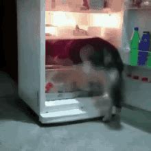 Funny Fridge GIFs | Tenor