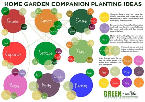 Kids Vegetable Garden 5 Simple Steps To Growing Your Own Veggies