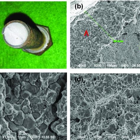 Intergranular Fracture Surface Of Hydrogen Charged Grade Bolt A