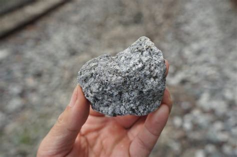 Sample Raw Specimen Of Granite Igneous Rock Stone On Geologist S Hand