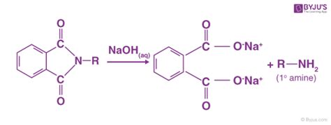 Amines Formula Structure Nomenclature Classification Preparation