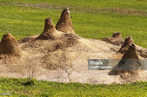 African Termite Mounds Stock Photo - Download Image Now - Africa, Color Image, Cone Shape - iStock