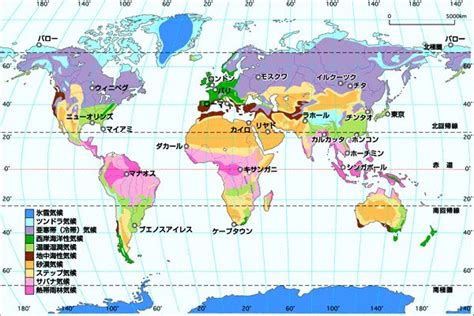 cecipa