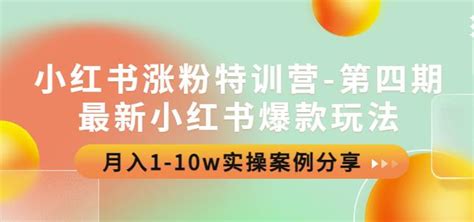 小红书涨粉特训营 第四期：最新小红书爆款玩法，月入1 10w实操案例分享 Vpsche小车博客