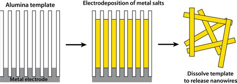 8 Schematic Of Electrodeposition Of Metal Nanowires By A Download Scientific Diagram