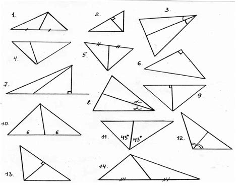 Angle Bisectors In Triangles Worksheet Angleworksheets