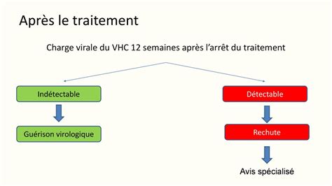 Recommandations Pour L Limination De Linfection Par Le Vhc En France