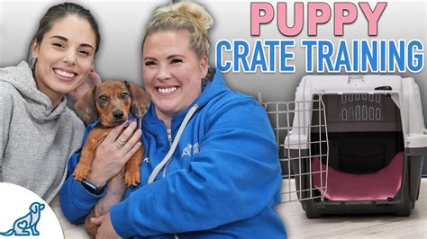 Puppy Crate Training Doesn't Need To Be STRESSFUL! - Best Dog Training Methods