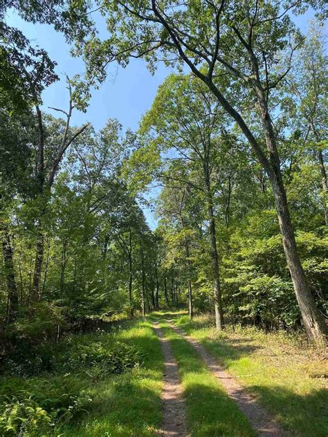 Forestry Services in Tioga County, Pennsylvania - A&L Wood Inc