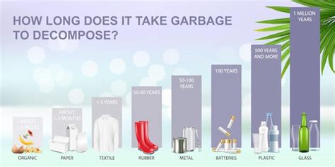 Quanto Tempo Leva Para O Lixo Se Decompor No Meio Ambiente Vetor