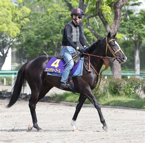 【ダービー】ゴンバデカーブース坂路軽快に素軽さ増した「息遣いは今までで一番いいくらい」堀師 3歳馬特集 競馬写真ニュース 日刊スポーツ