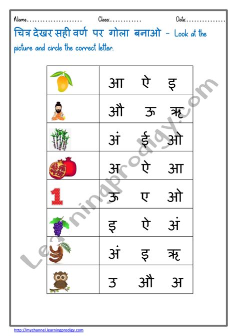 Hindi Worksheet Look At The Picture And Circle The Letters Hindi Worksheet For Kindergarten