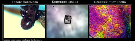 Обзор микроскопа Микромед Атом 20x - "Питерский телескоп"