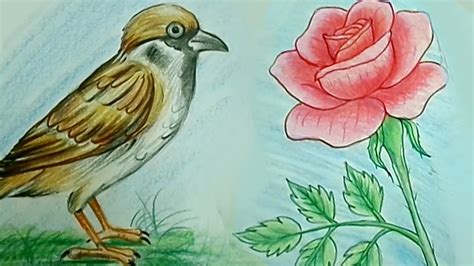 Birds And Flowers Drawing at GetDrawings | Free download