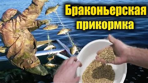 БРАКОНЬЕРСКАЯ ПРИКОРМКА! КОСИТ ЛЮБОЙ ВОДОЁМ ПОКА ВЫ ЛОВИТЕ НА ...