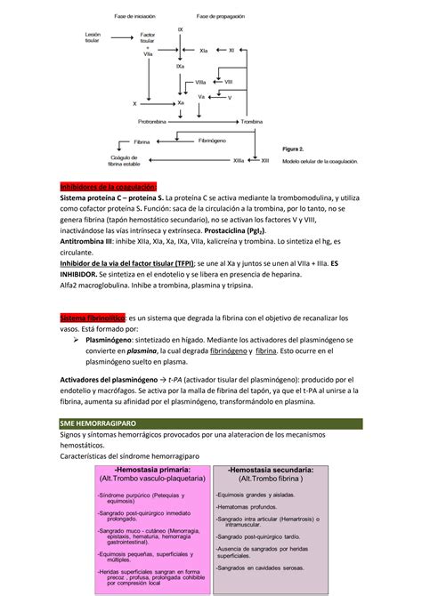 SOLUTION Trastornos De La Coagulacion Studypool