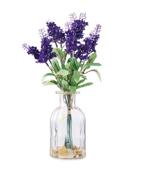 Lavender In Glass Vase Aldi Uk