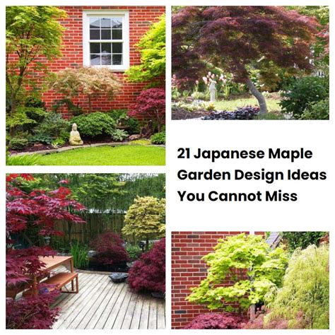 21 Japanese Maple Garden Design Ideas You Cannot Miss | SharonSable