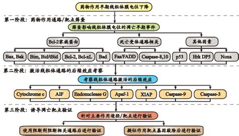 技术路线图科研研究技术路线图科研技术路线图模板第6页大山谷图库