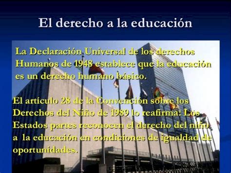 PPT 5 Necesidades Educativas En Las Diferentes Etapas De La Vida