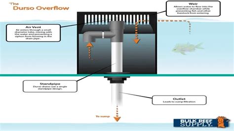 How To Design An Aquarium Overflow Expert Tips And Tricks