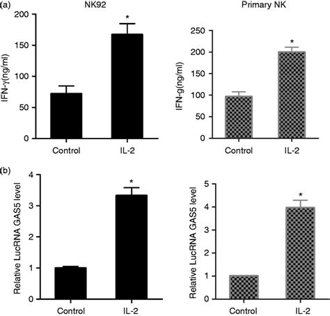 Xenograft In Nude Mice Hepg Cells Cells Were Injected