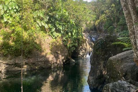 El Yunque Rainforest Tour Hike Swim And Adventure In Natural Pools