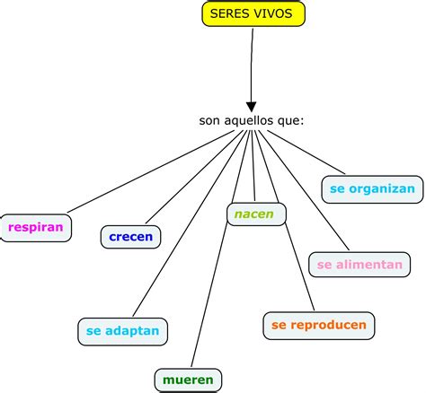 Funciones Vitales De Los Seres Vivos Mapa Conceptual Mantal Porn