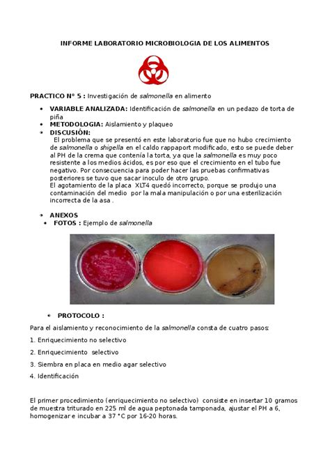 Doc Informe Laboratorio Microbiologia De Los Alimentos