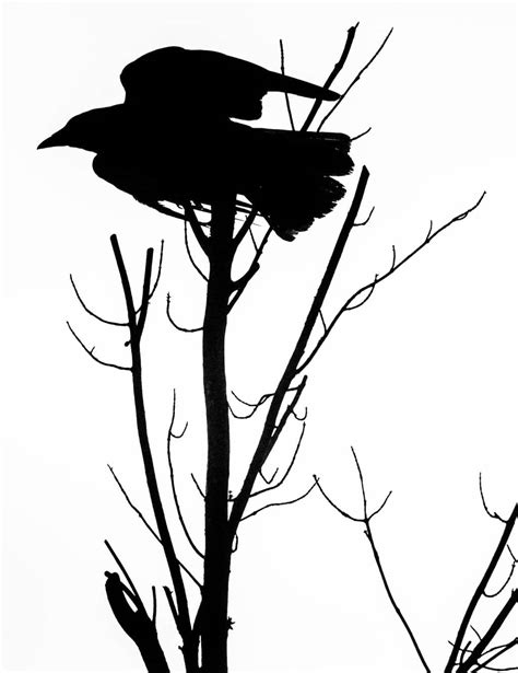 crow silhouette | Neal Parent Photography