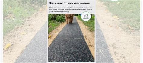 Резиновые дорожки для дачи в рулонах купить в Москве | Товары для дома ...