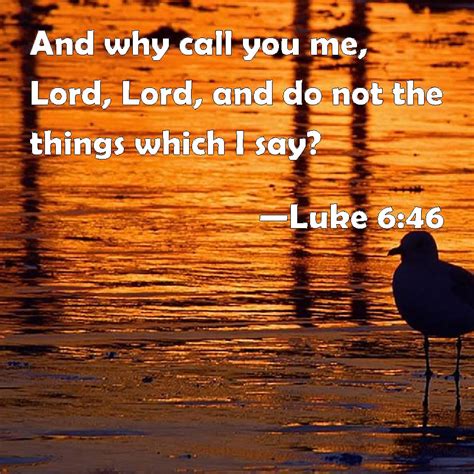 Luke 646 And Why Call You Me Lord Lord And Do Not The Things Which