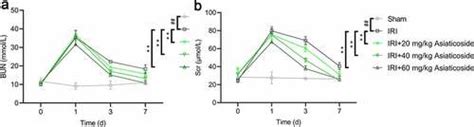 Full Article Protective Effects Of Asiaticoside On Renal Ischemia