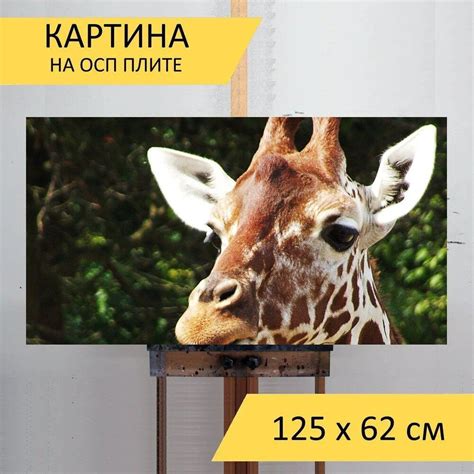 Картина пустыни "Жирафа, голова, животное" на ОСП 125х62 см. для ...