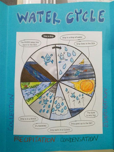 Lapbook Water Clil At Primary School