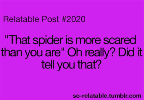 Spiders Quotes Quotesgram