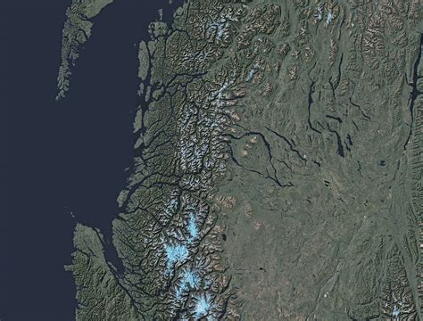 ‘When the Glaciers Disappear, Those Species Will Go Extinct’ - The New