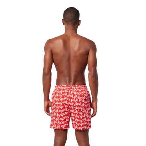 Tom And Teddy Turtles Mens Swim Shorts Turrw Red White Ocean Paradise