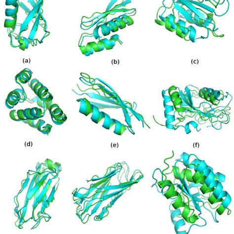 Summary Of I Tasser Modeling On The Benchmark Iii C α Rmsd Å