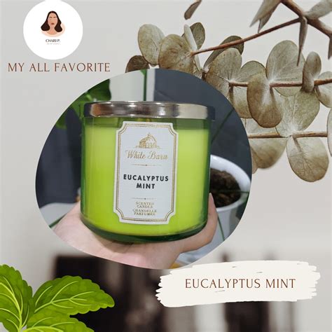 Bath And Body Works Wick Shop Eucalyptus Mint