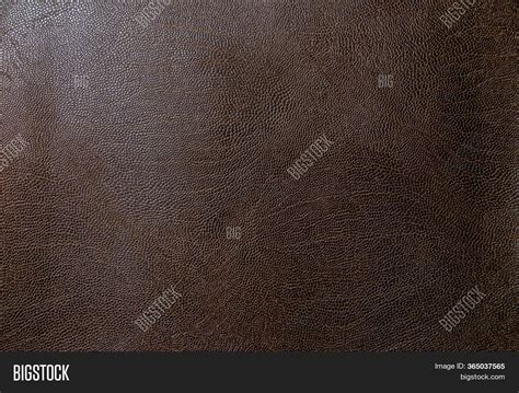 Brown Faux Leather. Image & Photo (Free Trial) | Bigstock