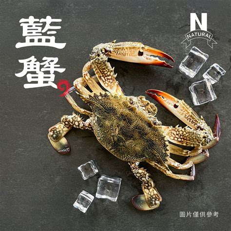 藍蟹 Blue Crab 園芯貿易有限公司